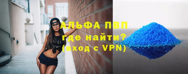индика Нестеровская