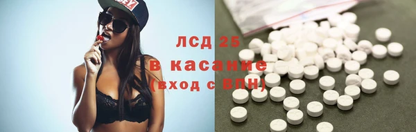ГАЛЛЮЦИНОГЕННЫЕ ГРИБЫ Алзамай