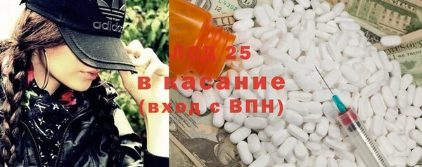 прущие грибы Иноземцево