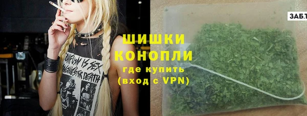 ГАЛЛЮЦИНОГЕННЫЕ ГРИБЫ Алзамай